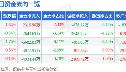 股票行情快报：岩山科技（002195）7月24日主力资金净买入2316.96万元
