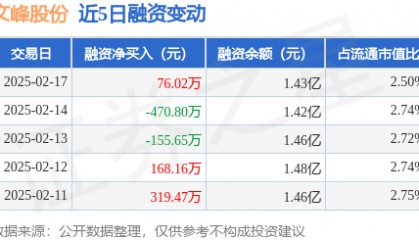 文峰股份：2月17日融资买入3589万元，融资融券余额1.43亿元