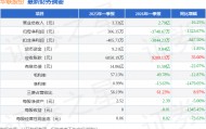 华联股份（000882）2026年一季报简析：净利润同比下降1323.67%