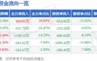 股票行情快报：汉商集团（600774）2月11日主力资金净买入604.81万元
