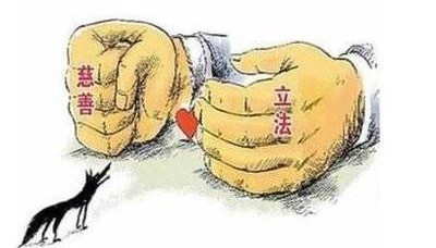 接手转让的基金会，和正常基金会有啥区别？