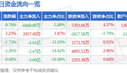 股票行情快报：岩山科技（002195）8月1日主力资金净卖出6660.00万元