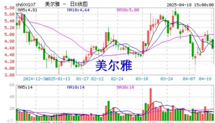 美尔雅及实控人信披违规被立案调查，股票维权已启动