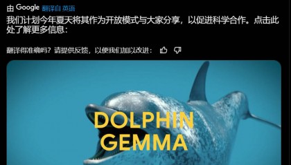 谷歌基于Gemma打造海豚专属模型，用4亿参数“解锁”海豚声音秘密