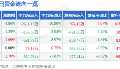 瑞丰光电（300241）5月12日主力资金净卖出2611.13万元