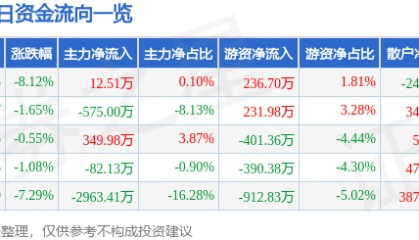 股票行情快报：华天酒店（000428）12月23日主力资金净买入12.51万元