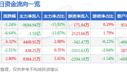 股票行情快报：鹏辉能源（300438）3月5日主力资金净卖出9694.94万元