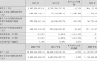 华联股份：2025年实现营业总收入11.98亿元