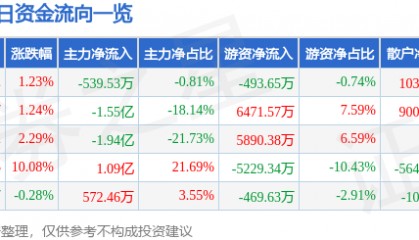 股票行情快报：实达集团（600734）2月6日主力资金净卖出539.53万元
