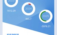 图解国中水务年报：第四季度单季净利润同比下降674.78%