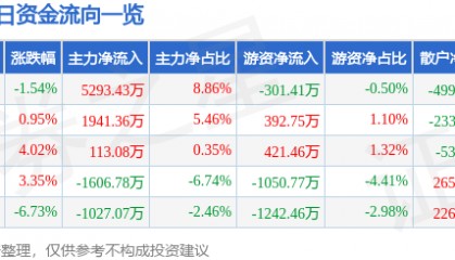 股票行情快报：顺网科技（300113）11月22日主力资金净买入5293.43万元