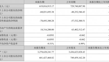 海南瑞泽：2025年上半年实现营业总收入6.19亿元