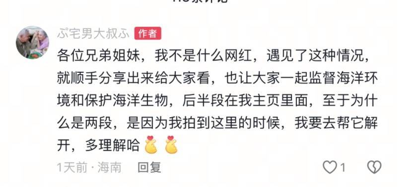 小海豚被困，海豚妈妈向人类求救！事发海南一海域→