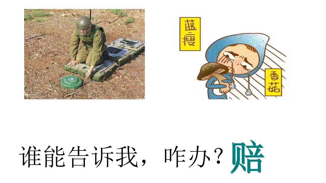 美尔雅及实控人信披违规被立案调查，股票维权已启动