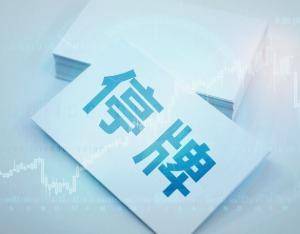 ST华闻：法院裁定受理公司重整 股票自2月27日停牌